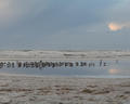 Reflections [1]