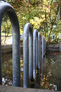 Serpent [1]