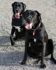 Becky & Daisy at Hondo park